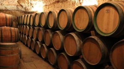 (foto www.bodegaslecea.com)