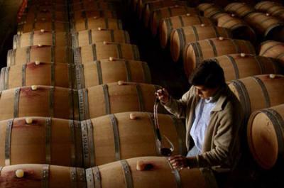 Bodega del Fin del Mundo (foto www.bodegadelfindelmundo.com)