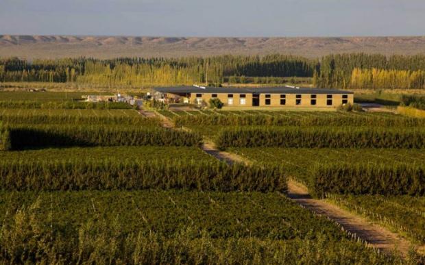 Bodega del Fin del Mundo (foto www.bodegadelfindelmundo.com)